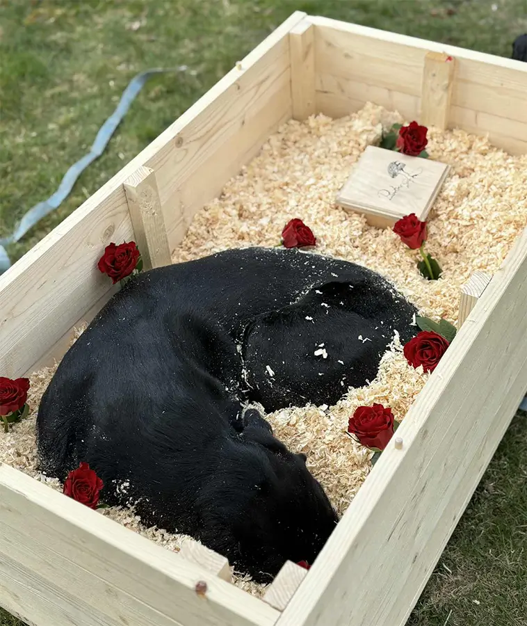 Rest in peace Rappe!